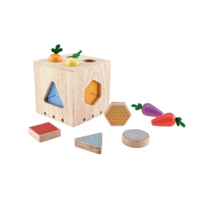 Sensoorse aktiivsuse kuubik