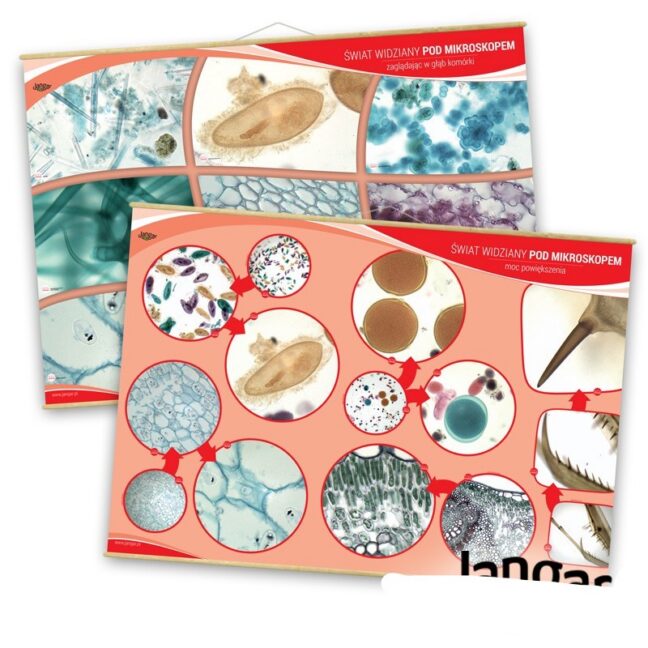 Maailm mikroskoobi all - plakatikomplekt