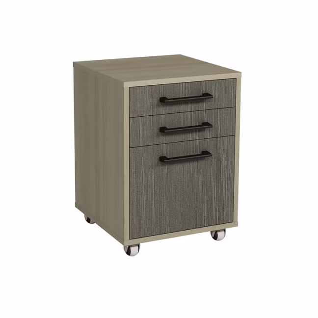 Mobiilne sahtelkapp ukse ja 2 sahtliga 440 x 450 x 610